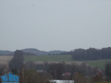 działka na sprzedaż 22000m2 działka Wierszyno