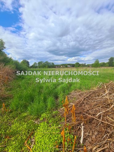 Działka 2809 m² w Zebrzydowicach Dolnych - potencjał inwestycyjny działka Zebrzydowice Dolne