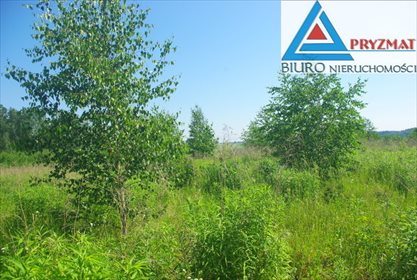 Działka budowlana na sprzedaż Mokiny 1 545m2 Foto 3