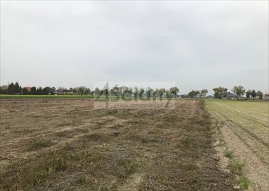 Działka inwestycyjna 57 400 m² z mediami - polecam działka Płochocin