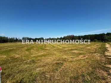 Sprzedam dwie działki Rogowo 1689 m² w spokojnej okolicy działka Rogowo
