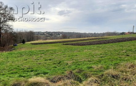 Działka budowlana na sprzedaż Łyczanka 2 600m2 Foto 5