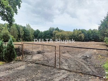 działka na sprzedaż 1234m2 działka Kobylnica, Witosa