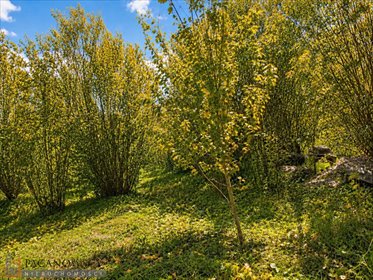 Działka budowlana 920 m² w Bibicach zapraszam działka Bibice