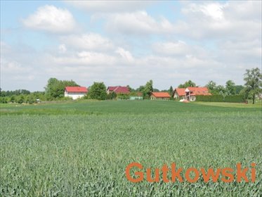 działka na sprzedaż 4700m2 działka Tynwałd