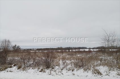 Działka inna na sprzedaż Piersko 4 726m2 Foto 1