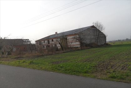 Działka budowlana na sprzedaż Olsza 12 000m2 Foto 1