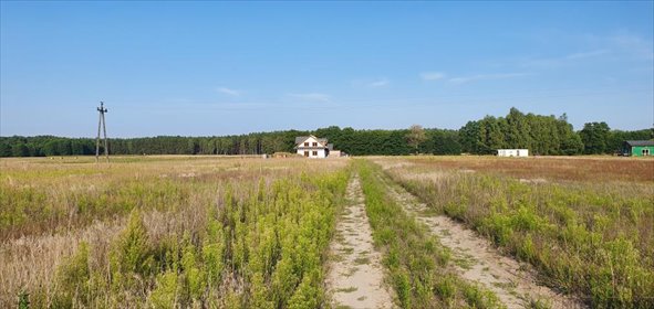 działka na sprzedaż 1209m2 działka Boruja