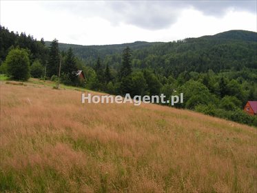 Działka budowlana na sprzedaż Skawica, Sucha Góra 14 591m2 Foto 4