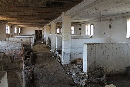 Magazyn na sprzedaż Brzozowiec 700m2 Foto 4