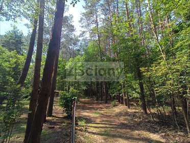 Działka 1666 m² w Siestrzeni - las, cisza, dostępność. działka Siestrzeń