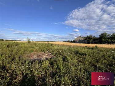 działka na sprzedaż 7997m2 działka Natolin, Natolin