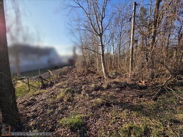 działka na sprzedaż 900m2 działka Zielonki