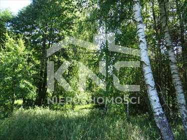 działka na sprzedaż 3270m2 działka Adamów