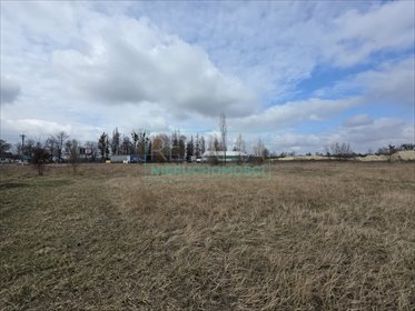 działka na sprzedaż 1987m2 działka Adamów