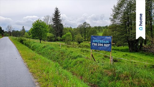 Dwie działki budowlane w Lesicy (1000 i 1280 m²) z możliwością usług działka Międzylesie