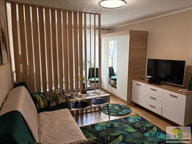 mieszkanie na wynajem 29m2 mieszkanie Świdnica