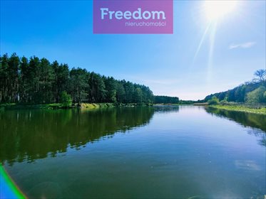 Działka budowlana na sprzedaż Teofilów 5 635m2 Foto 3