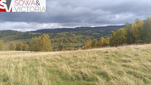 Zapraszam do zakupu działki 1200 m² w Walim, spokojne osiedle działka Walim