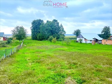 Działka budowlana na sprzedaż Dąbrowica 3 500m2 Foto 3