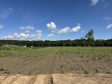 Działka 1355 m² przy lesie - MPZP, Kaźmierz działka Kaźmierz, Podgrzybkowa