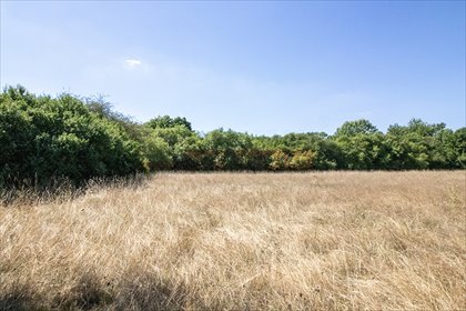 Zapraszam do zakupu działki 14,49 arów w Czarnowąsach działka Opole, Czarnowąsy