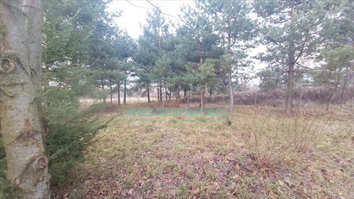 działka na sprzedaż 1500m2 działka Adamowizna