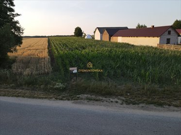 działka na sprzedaż 29800m2 działka Rusinów, Wola Gałecka
