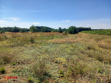 działka na sprzedaż 20300m2 działka Blinno