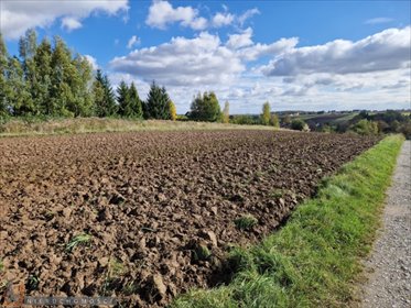 działka na sprzedaż 900m2 działka Łuczyce