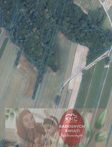 działka na sprzedaż 7632m2 działka Rąblów