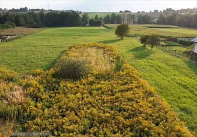 działka na sprzedaż 6198m2 działka Zielonki