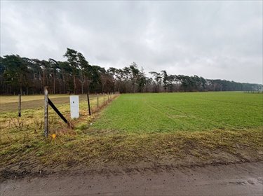 Działka 2162 m2 z warunkami zabudowy i lasem działka Srocko Małe