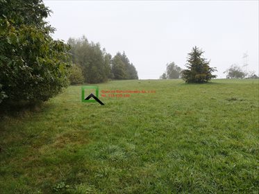 działka na sprzedaż 3400m2 działka Winiary