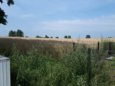 Działka budowlana na sprzedaż Żeńsko 2 070m2 Foto 4