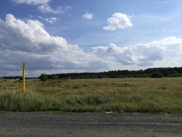 Do sprzedania działka 40 000 m² w Polkowicach działka Polkowice, Aleja Marszałka Józefa Piłsudskiego