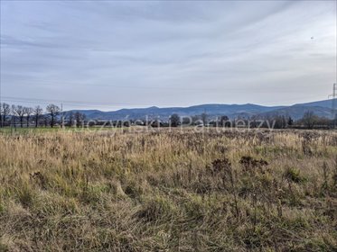 Polecam działkę 10 000 m² z widokiem na Karkonosze działka Wojcieszyce