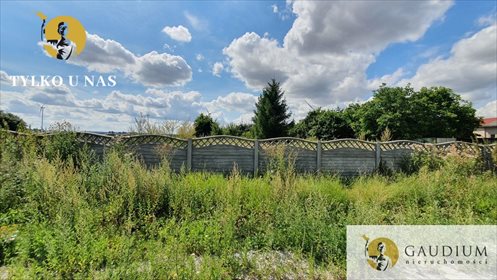 Działka budowlana na sprzedaż Gnojewo 1 000m2 Foto 3