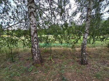 działka na sprzedaż 1202m2 działka Kuranów