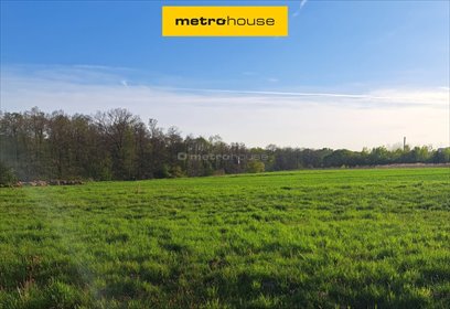 działka na sprzedaż 6171m2 działka Knurów, Zielona