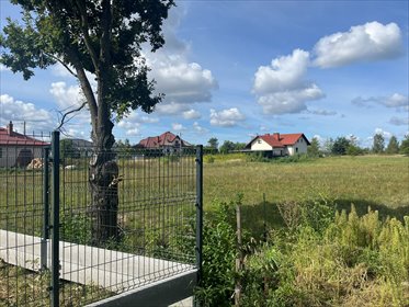 Do sprzedania działka 11,77 arów z szybkim dojazdem w Pysznicy działka Pysznica, Podorendy