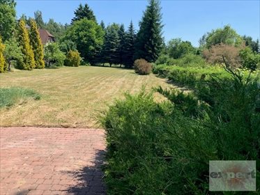 Działka budowlana na sprzedaż Konstantynów Łódzki, Żabiczki 1 347m2 Foto 3