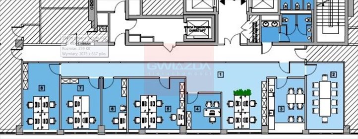 lokal użytkowy na wynajem 195m2 lokal użytkowy Warszawa, Wola