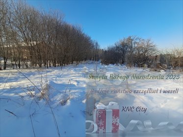 działka na sprzedaż 25000m2 działka Chełm, Okszowska