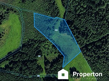 Działka rolna 14 212 m² w Elganowie - widoki i spokój działka Elganowo