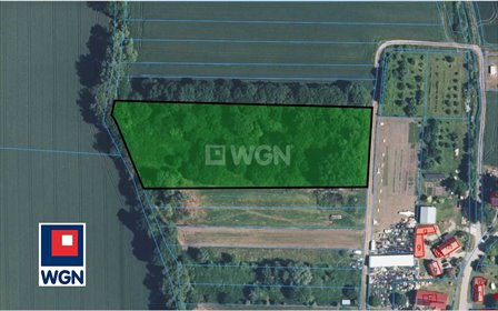 Sprzedam dużą działkę 9 854 m² w Ligocie koło Trzebnicy działka Ligota, Trzebnica, Ligota