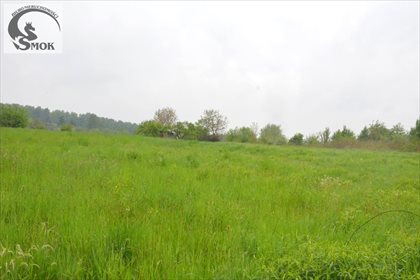 Działka rolna na sprzedaż Kraków, Podgórze, Kosocice 2 600m2 Foto 1