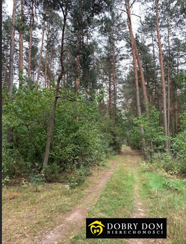 działka na sprzedaż 8340m2 działka Dąbrowa-Łazy