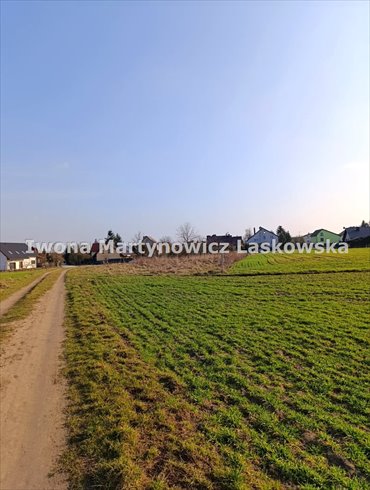 działka na sprzedaż 1157m2 działka Ścinawa