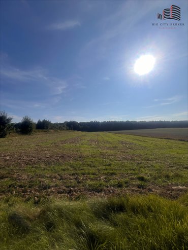 działka na sprzedaż 1140m2 działka Skrzynice-Kolonia